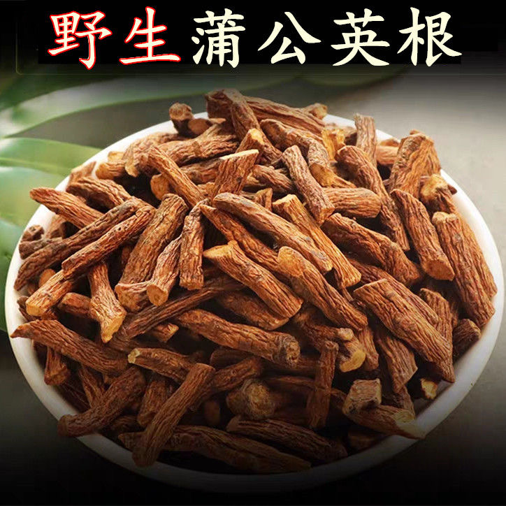 长白山蒲公英根