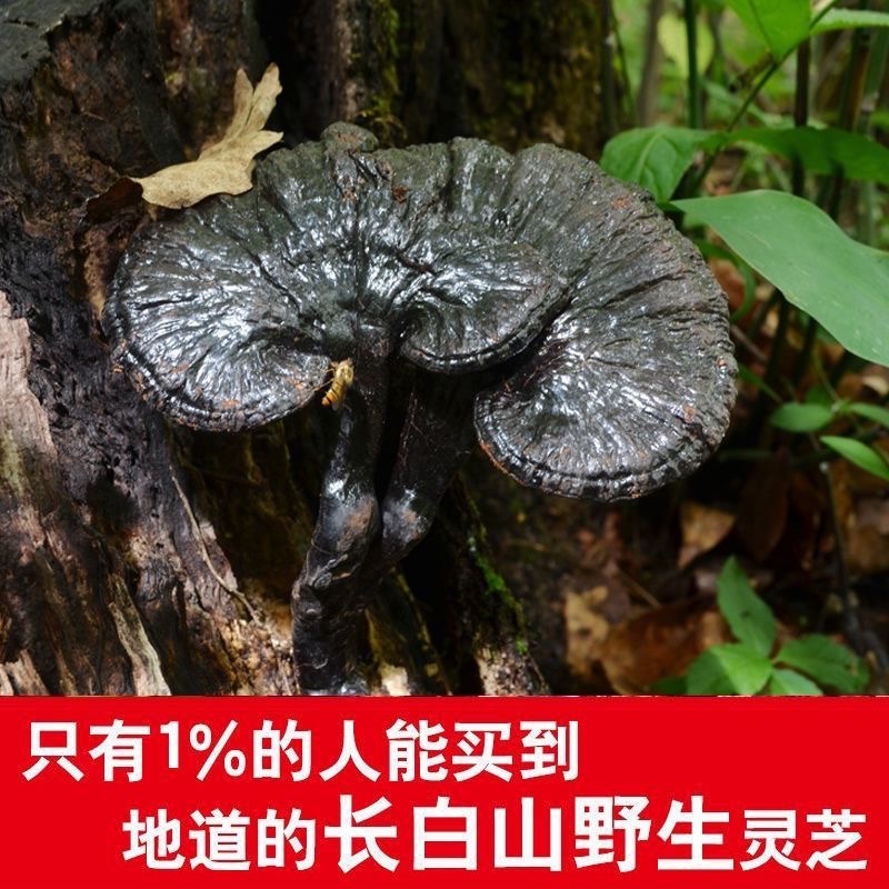 微信图片_20230830181301.jpg